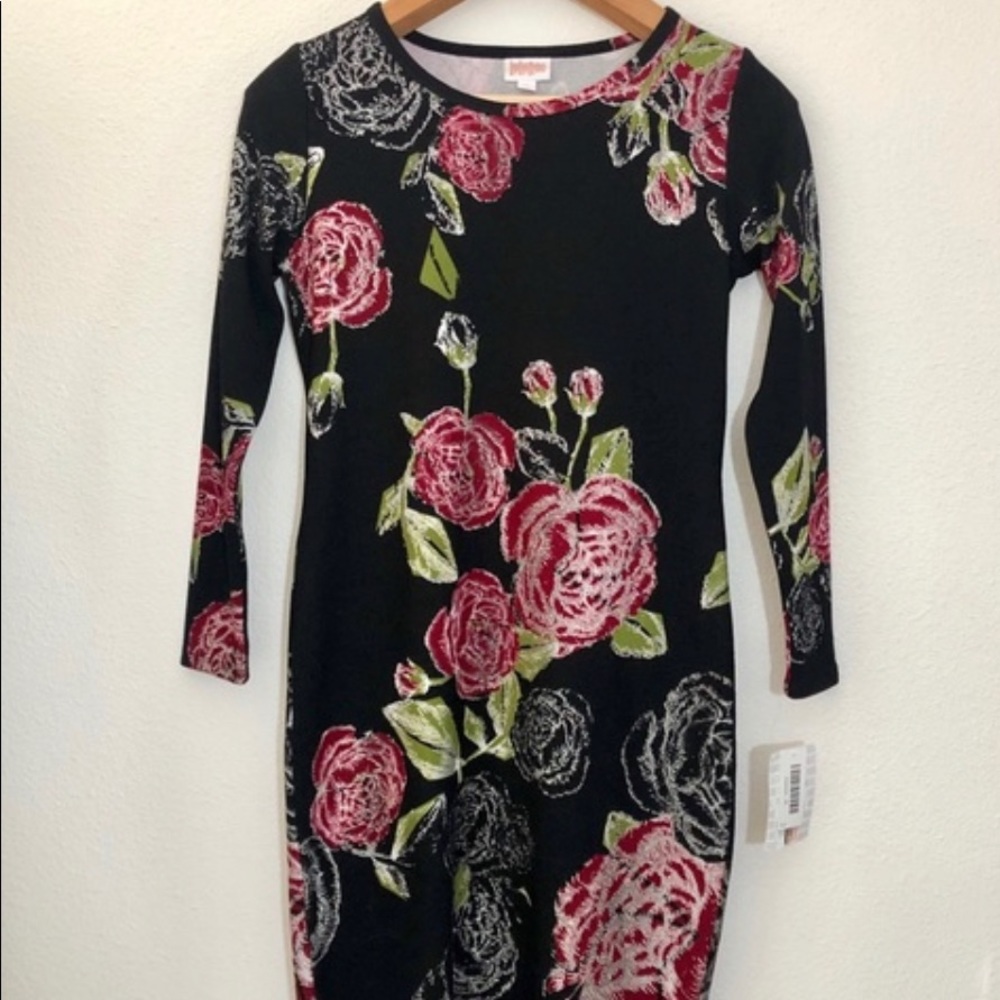 LulaRoe Debbie RARE Rose Dress